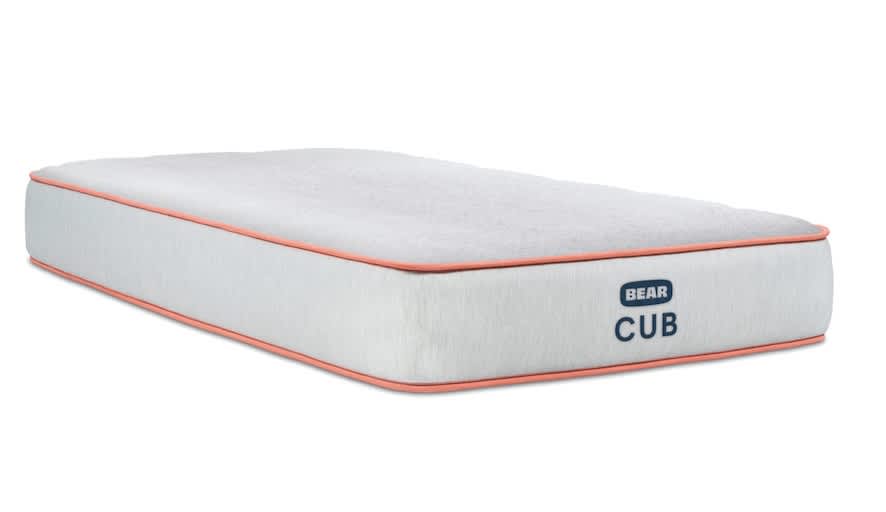 Product page photo of the Bear Cub