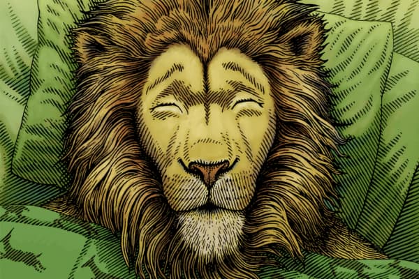 The Lion Chronotype: Your Ultimate Guide The Lion Chronotype: Your Ultimate Guide